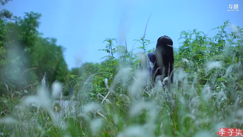 【美食】李子柒liziqi的精彩时刻 20211003 00点场