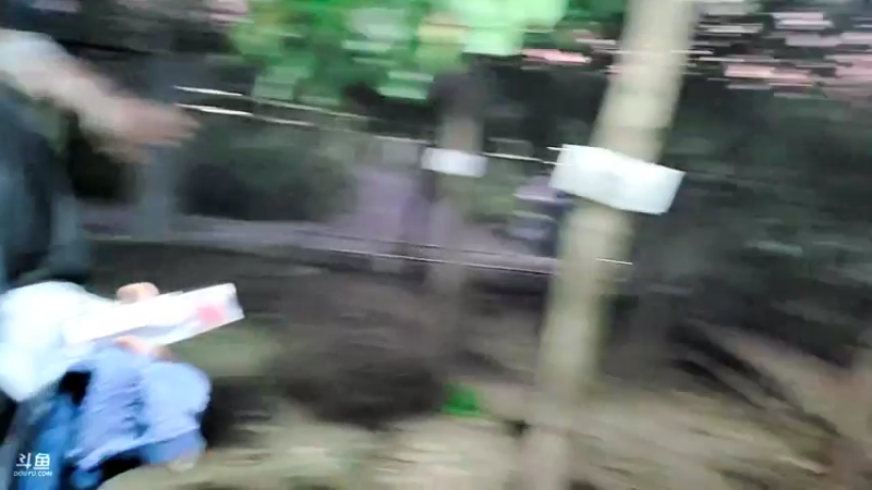 【2021-10-03 18点场】洪湖小肖：亲子运动会day1