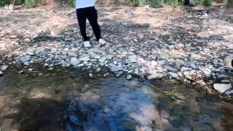 【2021-10-03 12点场】魅力生活i：大哥生日快乐