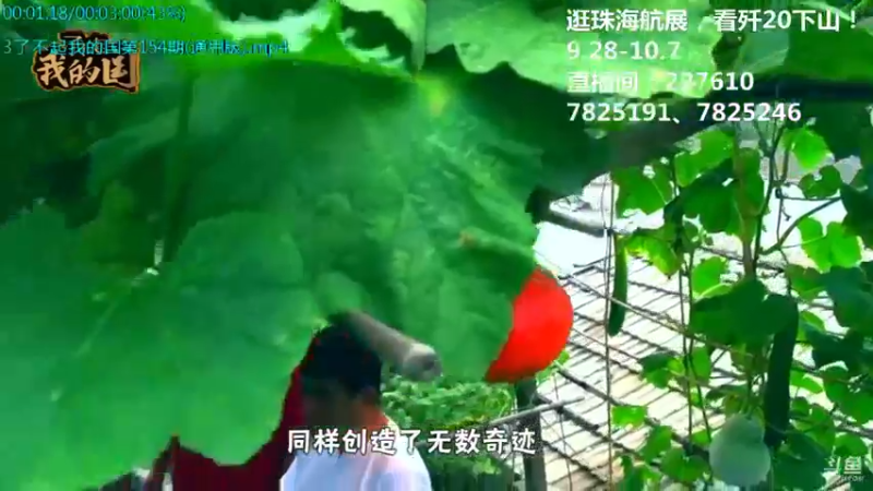 【2021-10-03 00点场】了不起我的国：中医真的是没用么？