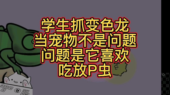 【大碗彤】喜欢吃放屁虫的变色龙宠物