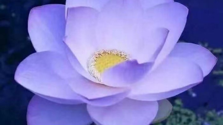 改死我吧