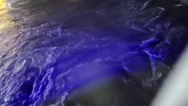 【2021-10-04 20点场】草莓：草莓：家人们国庆快乐