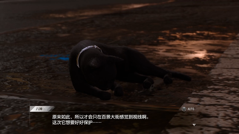 【审判之逝】女流66的精彩时刻 20211004 14点场