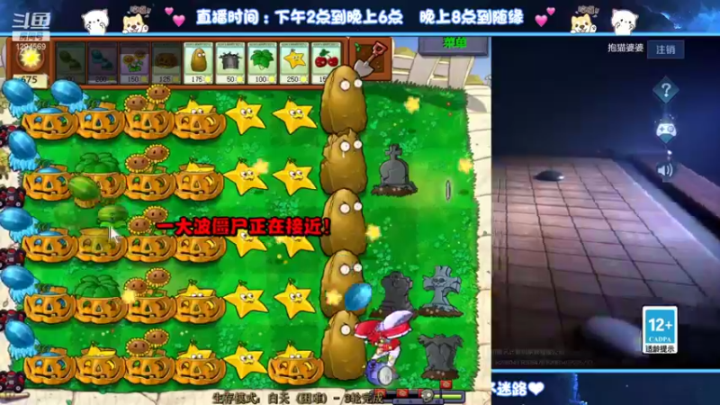 【2021-10-05 00点场】毕竟是柚子：阿离小国标走一波~