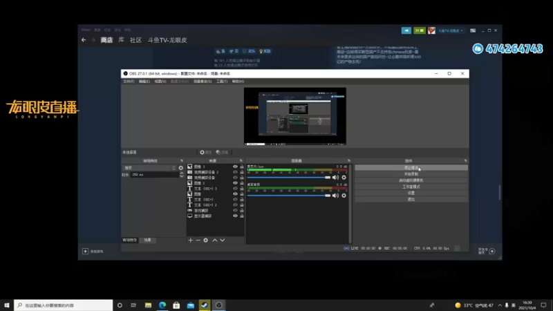 【2021-10-04 16点场】龙眼皮Lyd：福瑞柴油朋克《暗影火炬城》