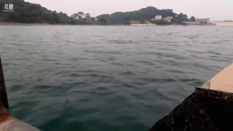 【2021-10-05 18点场】魅力生活i：今天看大哥钓巨物