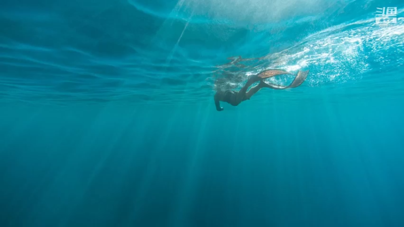 【2021-10-04 22点场】夏一可死毒舌_：帕奇维克负婆