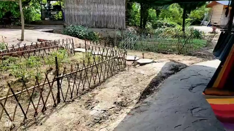 【2021-10-05 13点场】川味箩卜：国庆七天乐 757122