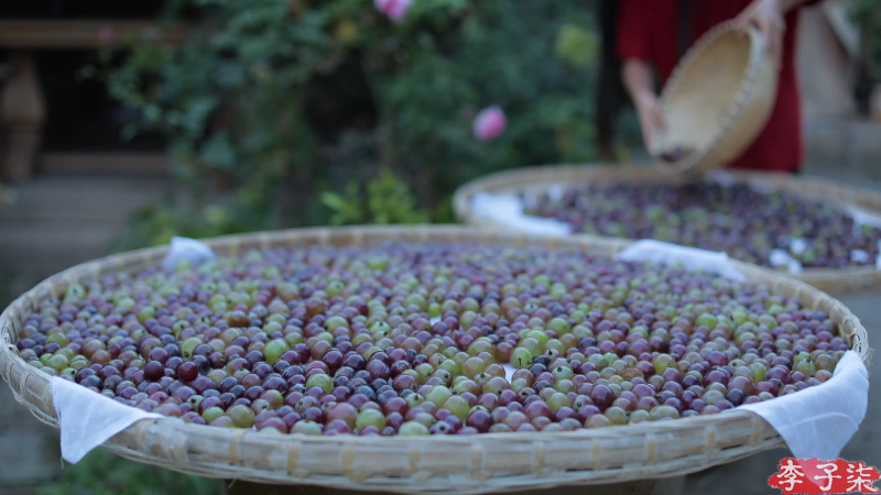 【美食】李子柒liziqi的精彩时刻 20211005 00点场