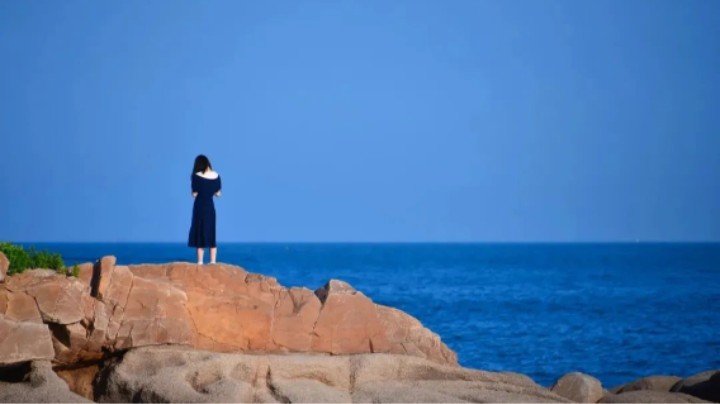 饮一盏清酒，度一场清秋