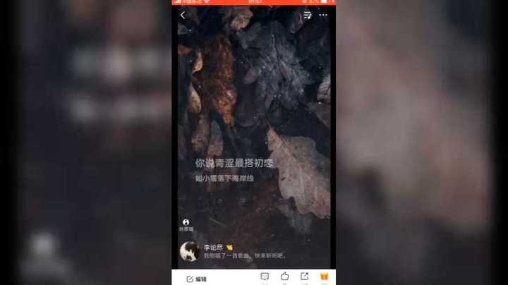 维乐与水友