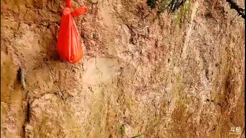 【2021-10-06 16点场】主播阿郎：挑战荒野独居30天