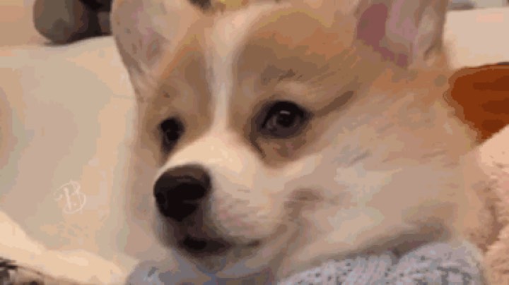 愿每天都是快乐