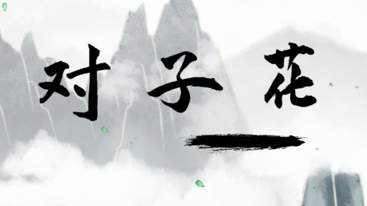 金铲铲之战虾米主播的奋斗之路第29天
