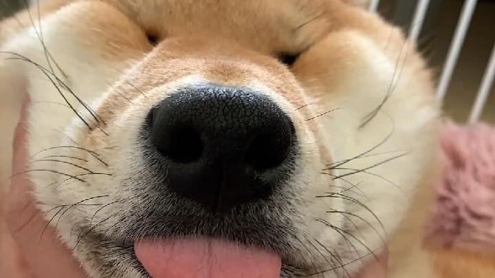 早上好