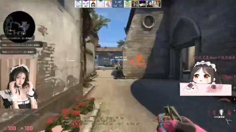 CSgO (157)
