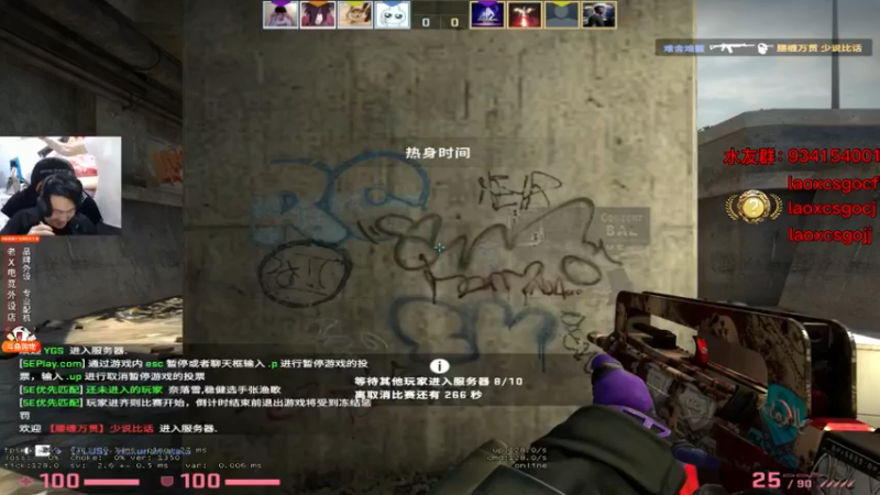 CSgO (295)