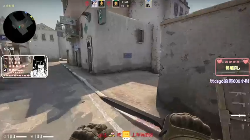 CSgO (377)
