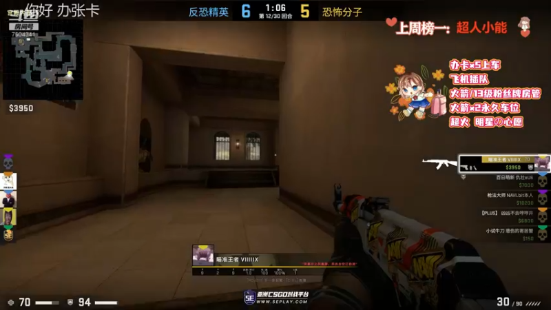 CSgO (205)