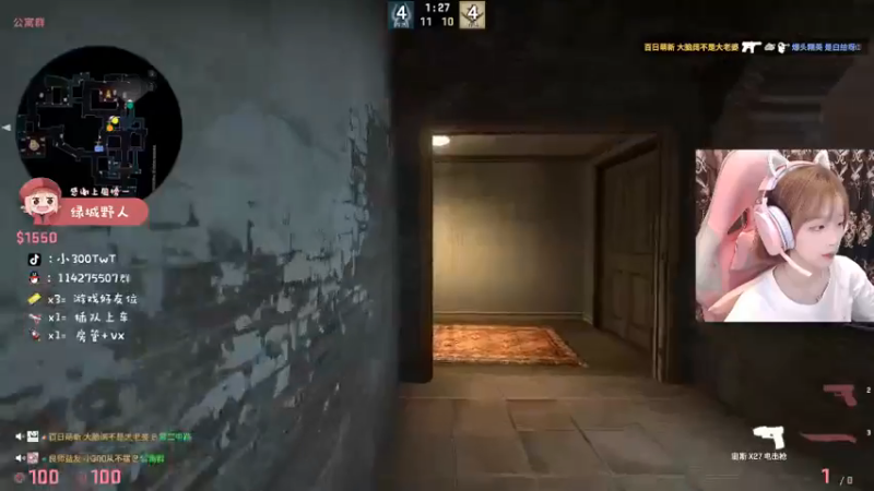 CSgO (110)