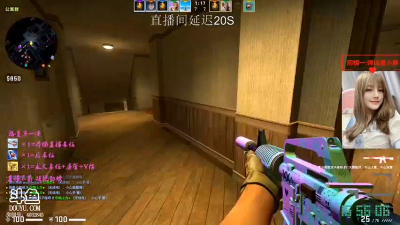 CSgO (249)
