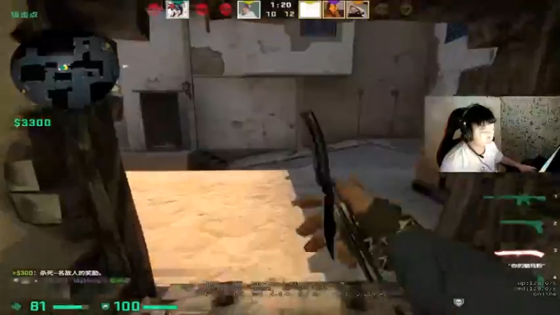 CSgO (153)