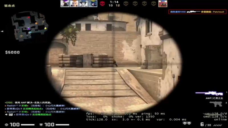 CSgO (286)