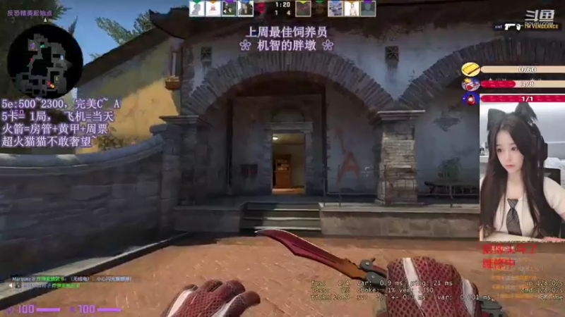 CSgO (336)