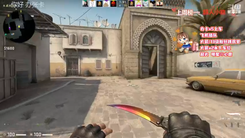 CSgO (333)