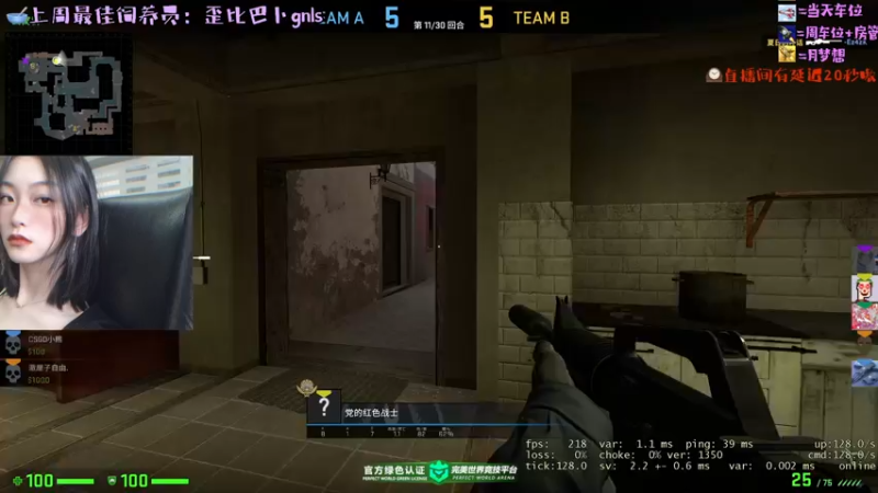 CSgO (137)