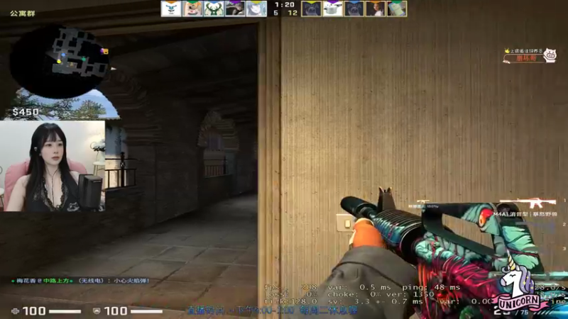 CSgO (116)