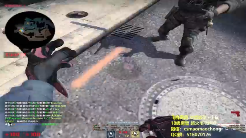 CSgO (291)