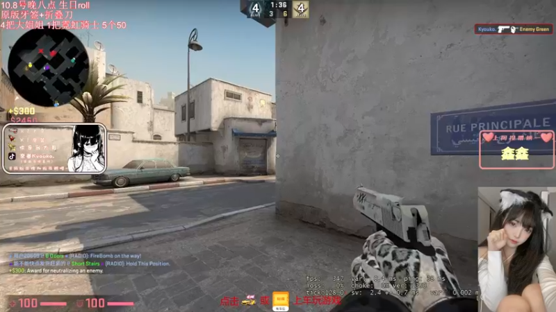 CSGO剪辑 (26)
