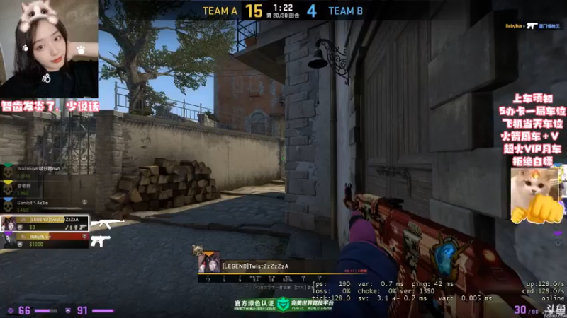 CSgO (96)