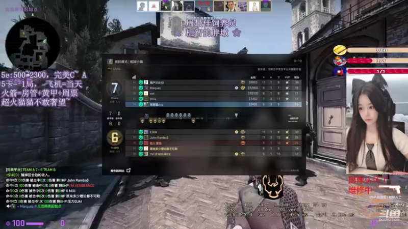 CSgO (287)