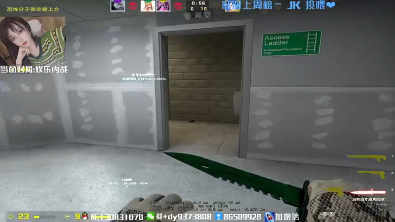 CSgO (119)