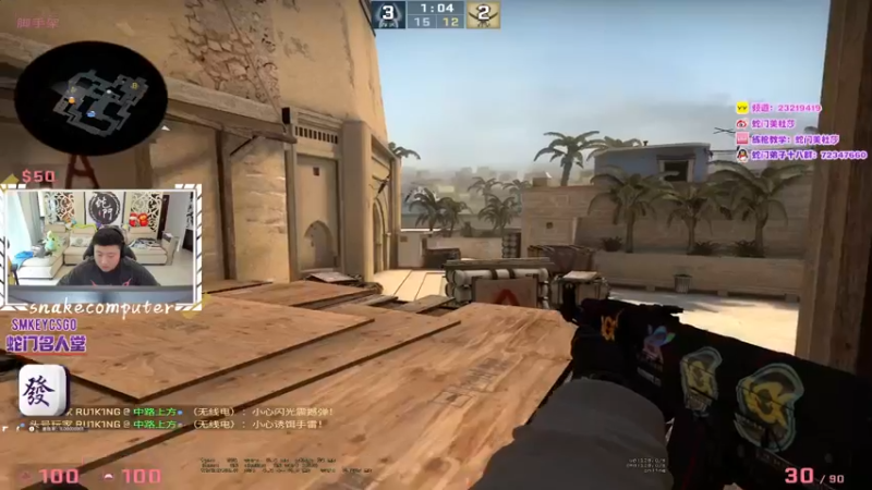 CSgO (338)