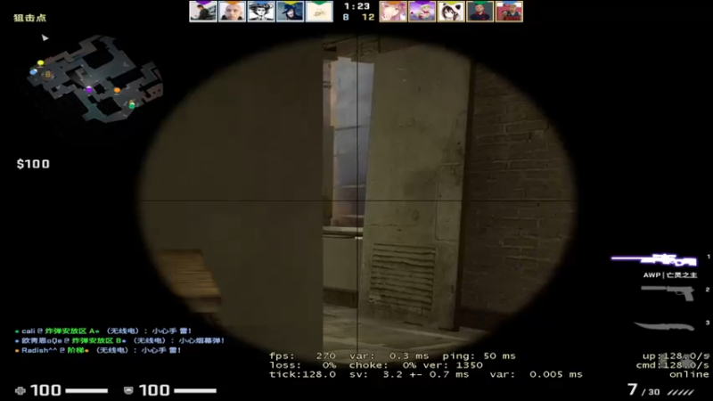 CSgO (298)