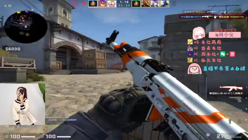 CSgO (385)