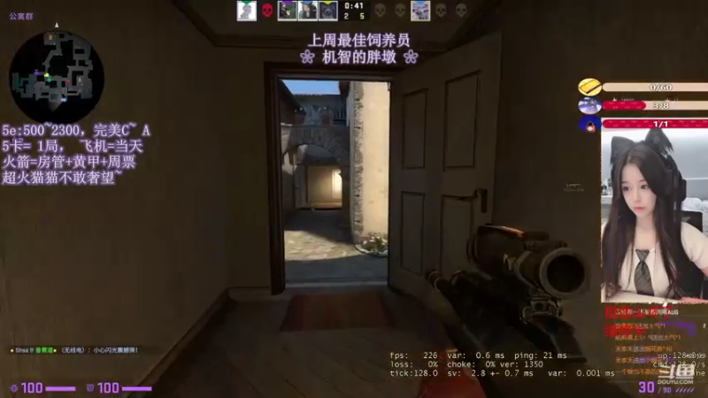 CSgO (317)