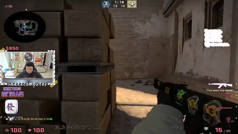 CSgO (356)