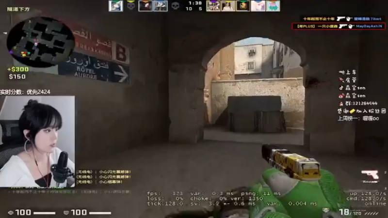 CSgO (312)