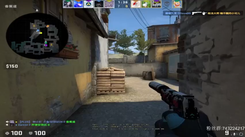 CSgO (381)