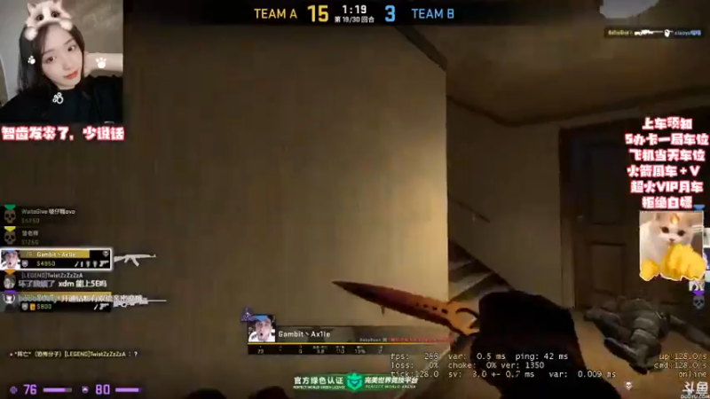 CSgO (100)