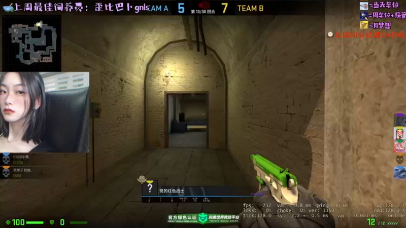 CSgO (134)