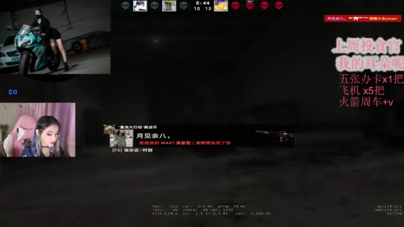 CSgO (244)