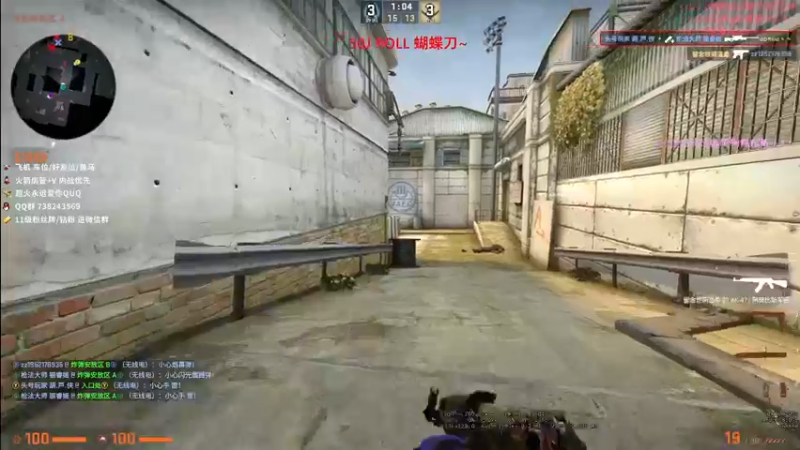 CSgO (71)