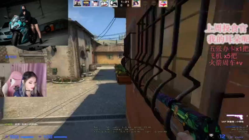 CSgO (177)
