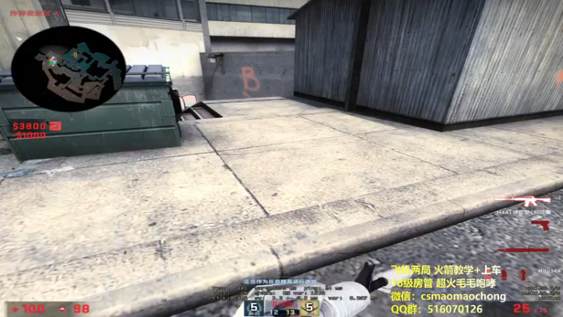 CSgO (256)
